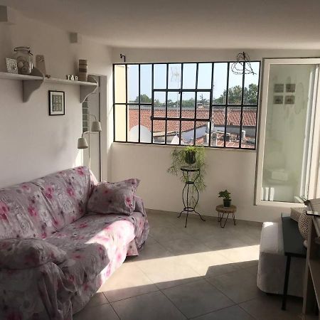ريميني B&B Rooftop51 المظهر الخارجي الصورة