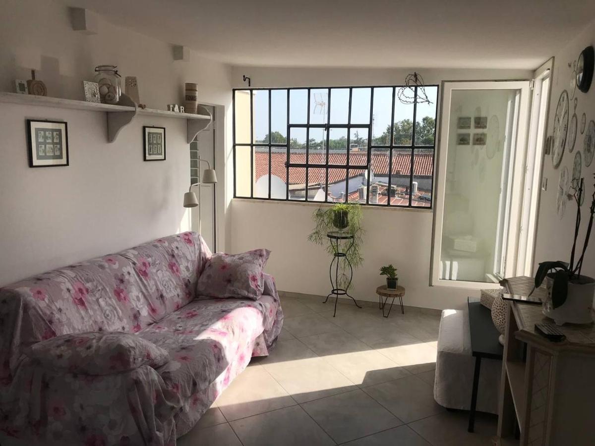 ريميني B&B Rooftop51 المظهر الخارجي الصورة
